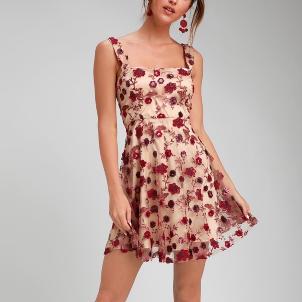 Lulu’s So Excited Nude Embroidered Sequin Dress
